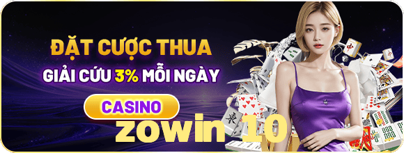 zowin 10